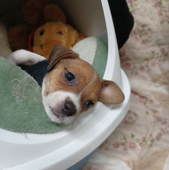 Meet your Posher, Kevin - Picture 1 of 1